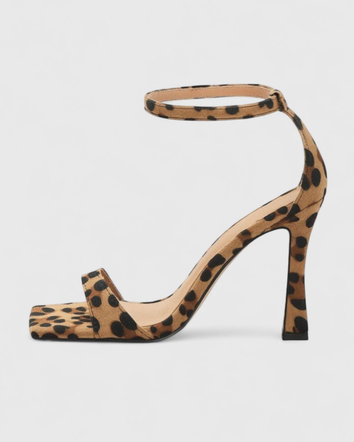 Leopard / 10